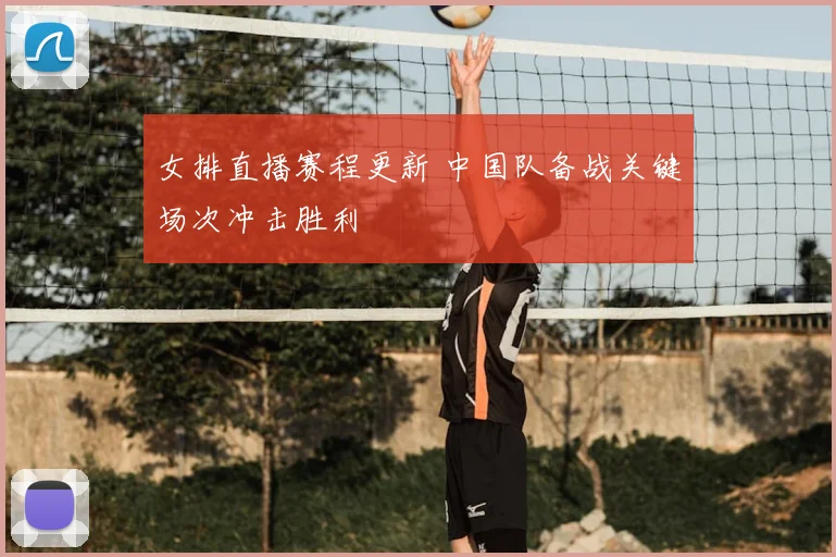 女排直播赛程更新 中国队备战关键场次冲击胜利