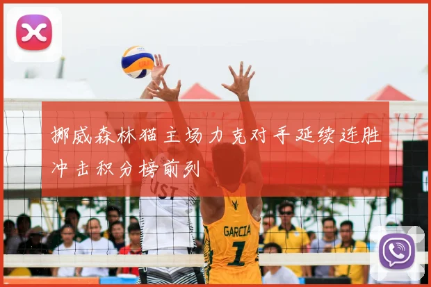 挪威森林猫主场力克对手延续连胜冲击积分榜前列